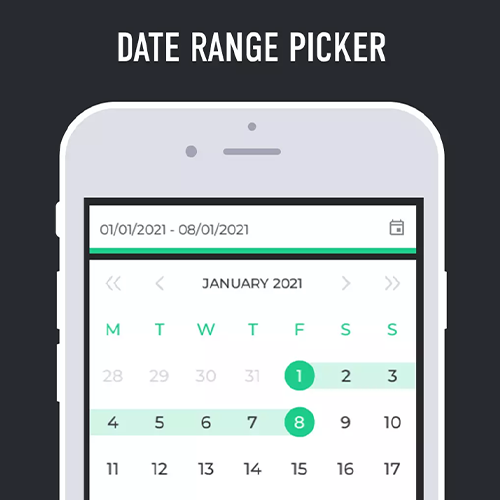 Date Range Picker